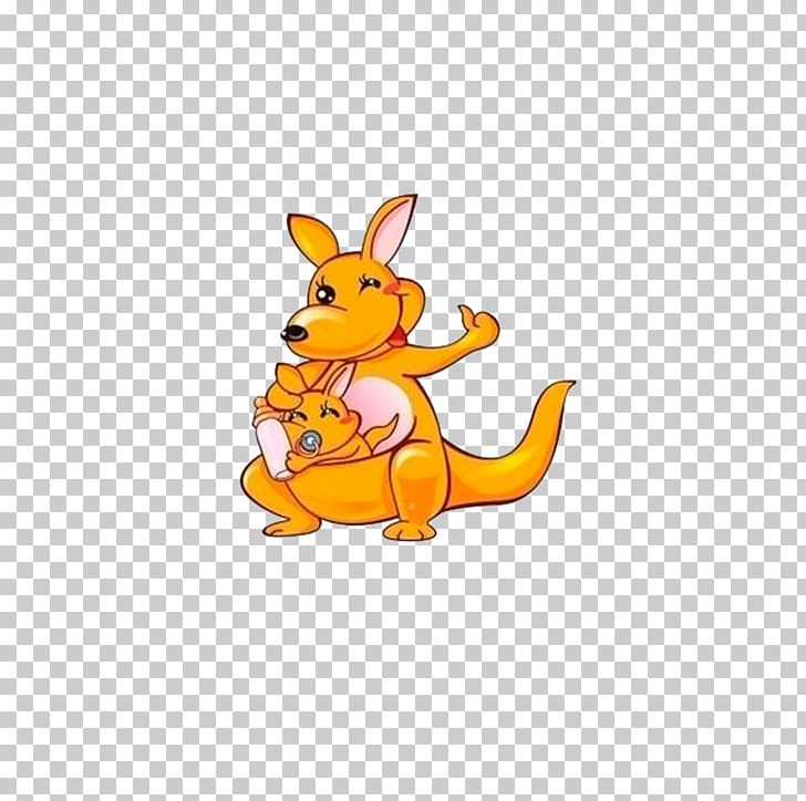 Macropodidae Kangaroo Wallaby PNG, Clipart, Animal, Animals, Bottle, Canidae, Carnivoran Free PNG Download