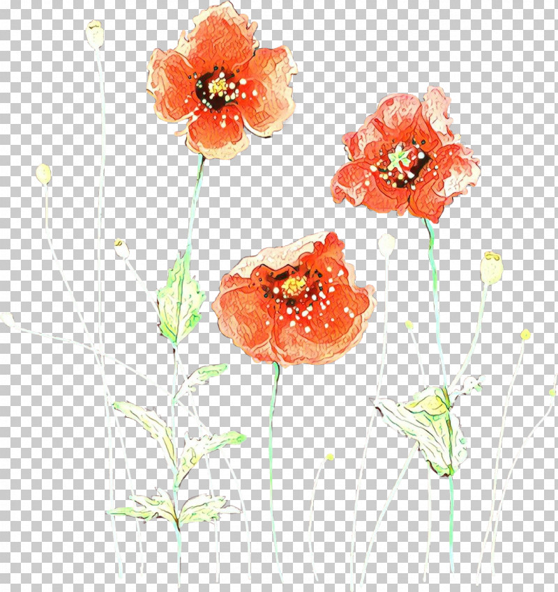 Flower Watercolor Paint Coquelicot Corn Poppy Poppy PNG, Clipart, Coquelicot, Corn Poppy, Flower, Oriental Poppy, Plant Free PNG Download