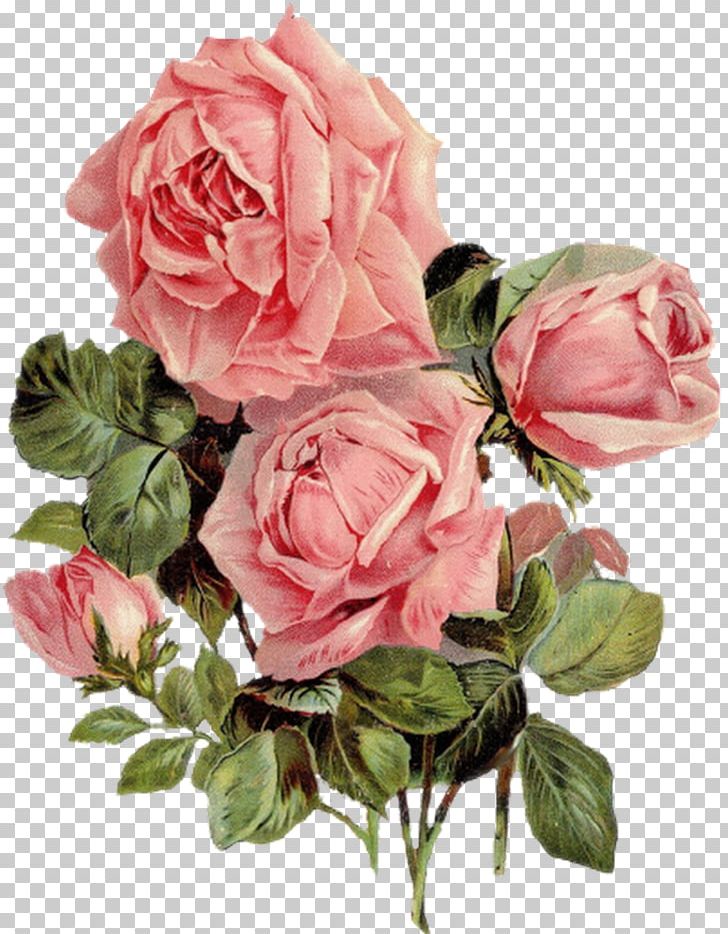 Cut Flowers Centifolia Roses Yarn Garden Roses PNG, Clipart, Artificial Flower, Bobbin, Centifolia Roses, Crossstitch, Embroidery Free PNG Download