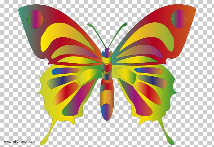 Drawing Butterfly PNG, Clipart, Arthropod, Brush Footed Butterfly, Butterflies And Moths, Butterfly, Cartoon Free PNG Download