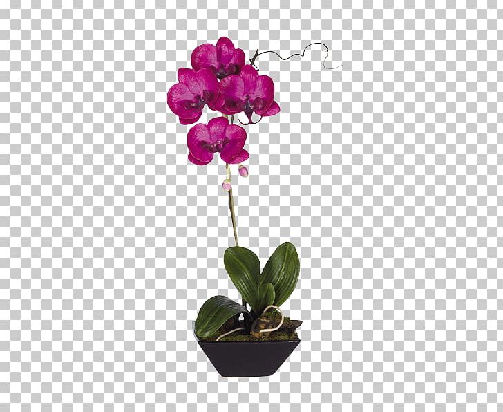 Moth Orchids Flowerpot Dendrobium PNG, Clipart, Artificial Flower, Cattleya, Cattleya Orchids, Dendrobium, Fleur Free PNG Download