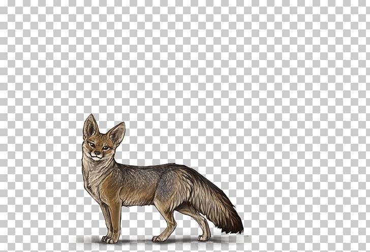 Red Fox Dog Breed Jackal Fauna PNG, Clipart, Animals, Breed, Carnivoran, Dog, Dog Breed Free PNG Download
