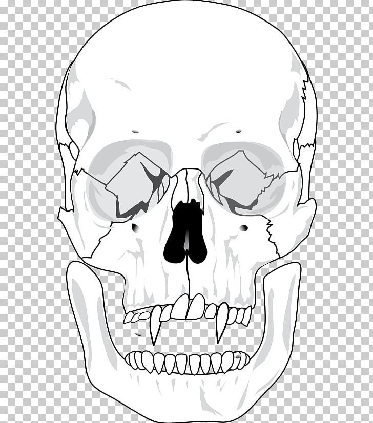 Skull Human Skeleton Anatomy Bone PNG, Clipart, Anatomy, Area, Devil, Diagram, Ear Free PNG Download
