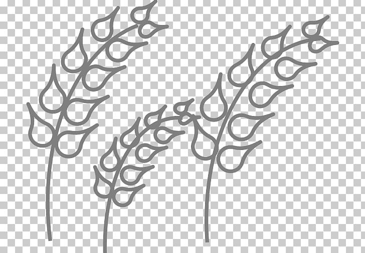 Kolam India Time Plant Stem PNG, Clipart, Angle, Black And White, Branch, Childhood, Flora Free PNG Download