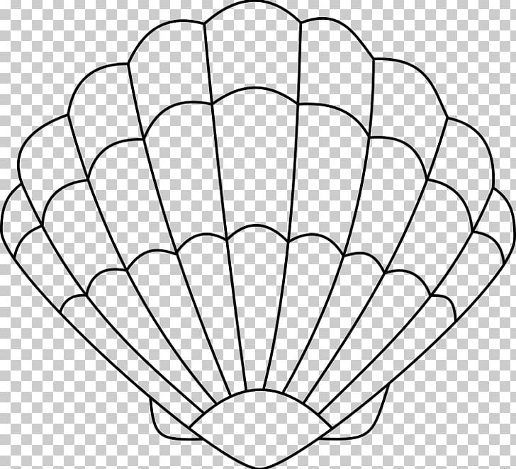 Seashell Coloring Book Drawing Oyster PNG, Clipart, Adult, Angle, Animals, Area, Black And White Free PNG Download