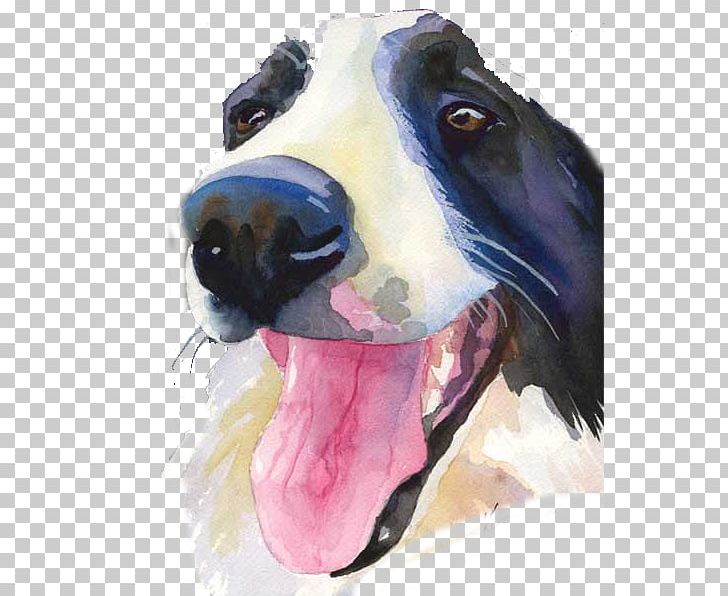 Border Collie Boston Terrier Labrador Retriever Rough Collie Puppy PNG, Clipart, Acrylic Paint, Art, Black, Carnivoran, Collie Free PNG Download