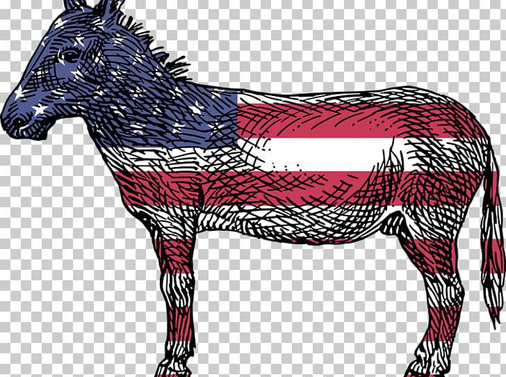 Reasons To Vote For Democrats: A Comprehensive Guide United States Democratic Party Voting Republican Party PNG, Clipart, Americanled Intervention In Iraq, Horse, Horse Harness, Horse Tack, Mane Free PNG Download