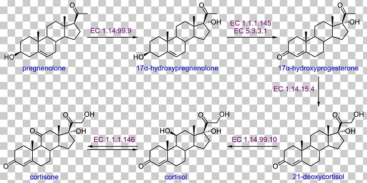 Fusarium Oxysporum Androstenedione Steroid Testolactone Point PNG, Clipart, Angle, Area, Biotransformation, Blue, Body Jewellery Free PNG Download