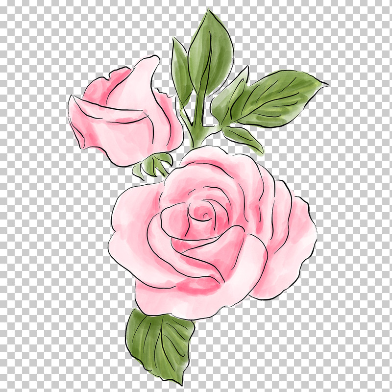 Garden Roses PNG, Clipart, Camellia, Cut Flowers, Floribunda, Flower, Garden Roses Free PNG Download
