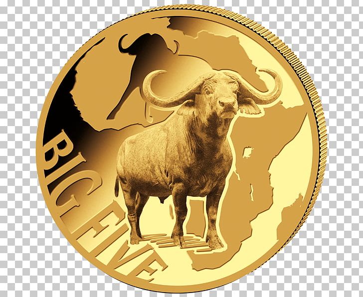 Big Five Game Lion Coin Gold Ounce PNG, Clipart, 1 Oz, African Buffalo, Amber Road, Animals, Big Five Game Free PNG Download