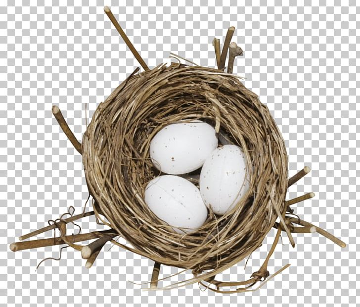 Bird Nest Egg PNG, Clipart, Animals, Bird, Bird Nest, Birds Nest, Broken Egg Free PNG Download