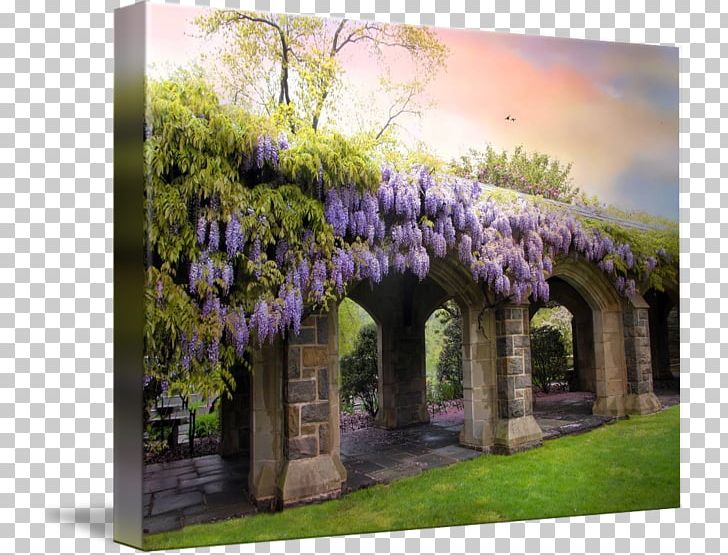 Canvas Print Art Moon Bridge Wisteria PNG, Clipart, Arch, Art, Balcony, Canvas, Canvas Print Free PNG Download