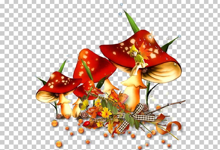 Mushroom PNG, Clipart, Autumn, Bell Peppers And Chili Peppers, Drawing, Food, Fruit Free PNG Download
