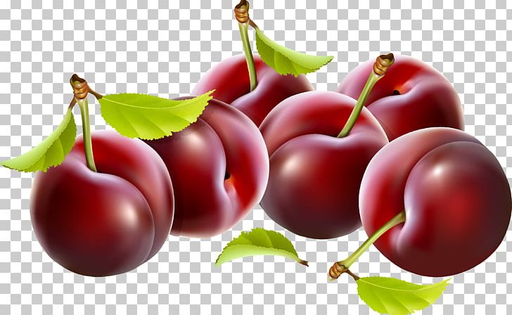 plum cake png clipart acerola acerola family bush tomato cherry cranberry free png download imgbin com