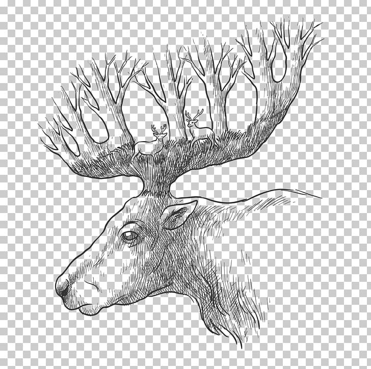 Red Deer Gray Wolf Drawing PNG, Clipart, Animals, Antler, Black, Deer, Euclidean Vector Free PNG Download