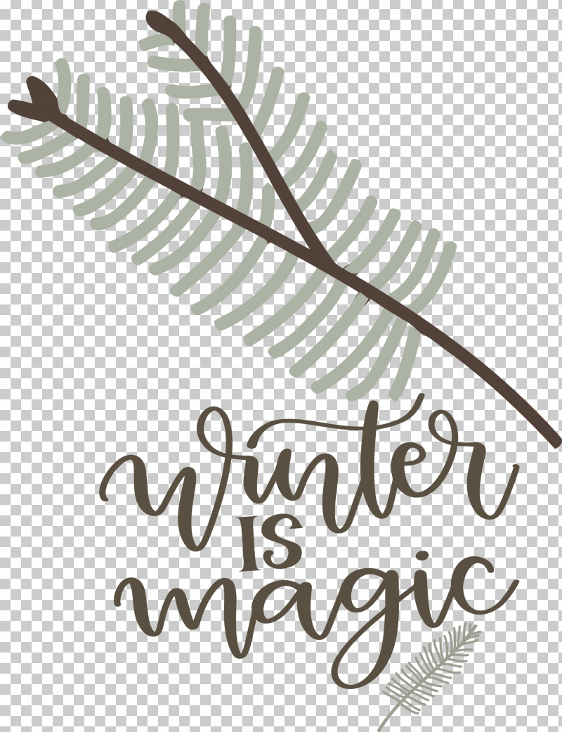 Winter Is Magic Hello Winter Winter PNG, Clipart, Biology, Calligraphy, Geometry, Hello Winter, Leaf Free PNG Download