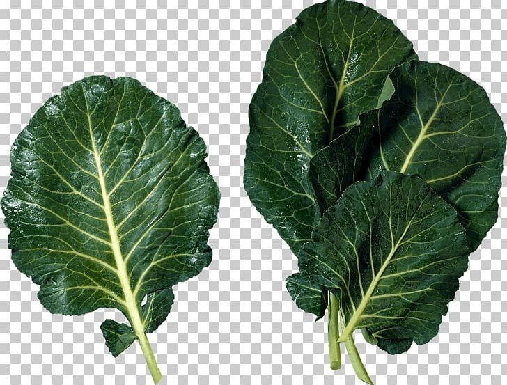 Cuisine Of The Southern United States Marrow-stem Kale Soul Food Leaf Vegetable PNG, Clipart, Athletes, Blanching, Brassica Juncea, Cabbage, Carbs Free PNG Download