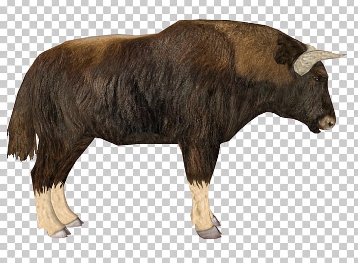 Domestic Yak Zoo Tycoon 2 Cattle Muskox PNG, Clipart, Animal, Animals, Bison, Bull, Cattle Free PNG Download