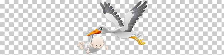 Stork PNG, Clipart, Stork Free PNG Download