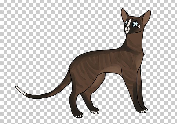 Whiskers Cat Dog Mammal Canidae PNG, Clipart, Animal, Animal Figure, Canidae, Carnivoran, Cat Free PNG Download