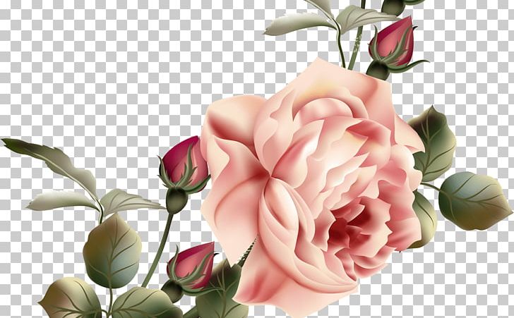 Garden Roses Cabbage Rose Flower Floral Design PNG, Clipart, Artificial Flower, Blossom, Blume, Cut Flowers, Floral Design Free PNG Download