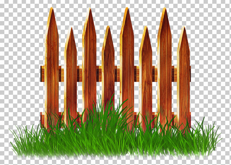 Grass Lawn Plant PNG, Clipart, Grass, Lawn, Plant Free PNG Download