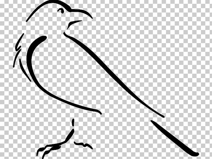 Crow Line Art Drawing PNG, Clipart, Animals, Art, Artwork, Beak, Bird Free PNG Download