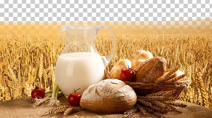 Milk Breakfast Cereal Bread Baguette PNG, Clipart, Background Vector, Breakfast, Business, Cereal, Croissant Free PNG Download