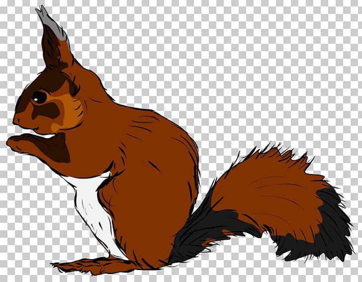 Squirrel Drawing Scalable Graphics PNG, Clipart, Animal, Animals, Beak, Beaver, Bird Free PNG Download