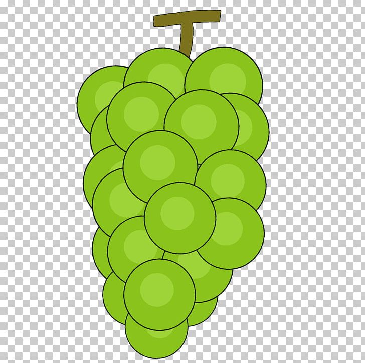 Grape Muscat Fruit PNG, Clipart, Boston Ivy, Budou, Download, Flowering Plant, Food Free PNG Download