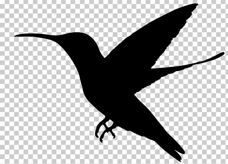 Hummingbird Silhouette PNG, Clipart, Animal, Animals, Beak, Bird Flight, Black And White Free PNG Download