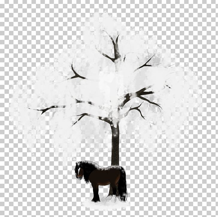 Winter PNG, Clipart, Black And White, Branch, Nature, Snow, Tree Free PNG Download