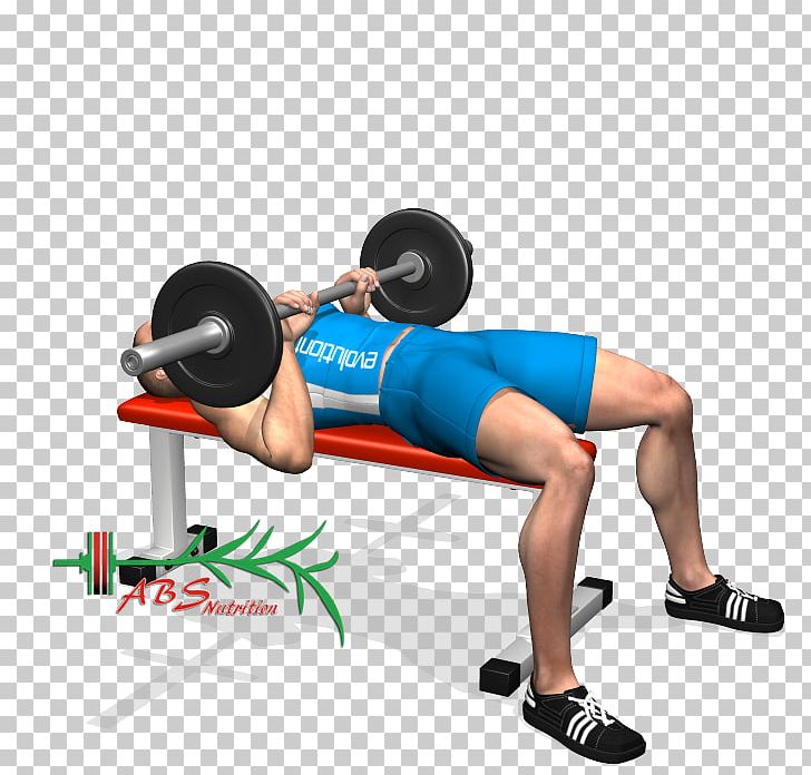 Weight Training Triceps Brachii Muscle Biceps Deltoid Muscle PNG, Clipart, Abdomen, Arm, Balance, Barbell, Biceps Free PNG Download