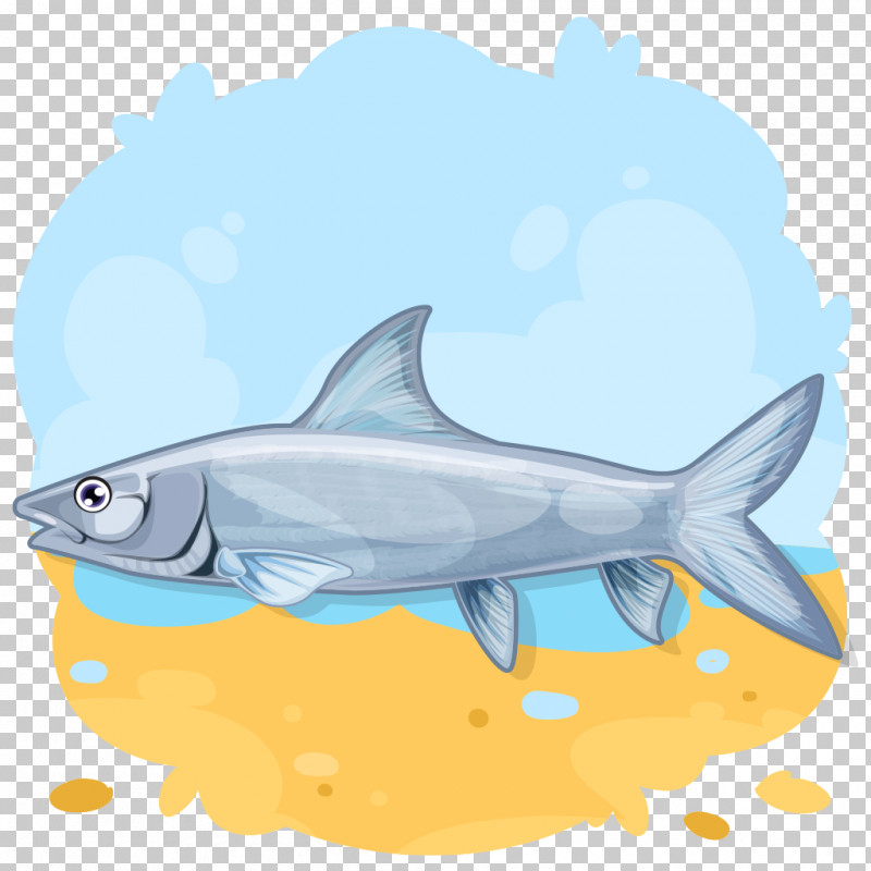 Shark PNG, Clipart, Bonyfish, Bull Shark, Carcharhiniformes, Cartilaginous Fish, Cartoon Free PNG Download