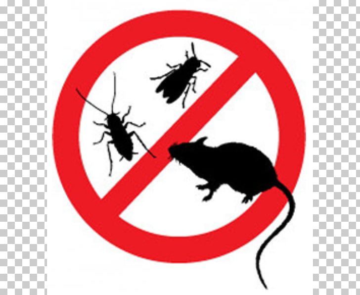 Cat Pest Control Vermin Integrated Pest Management Insect PNG, Clipart, Animals, Artwork, Biology, Carnivora, Carnivoran Free PNG Download