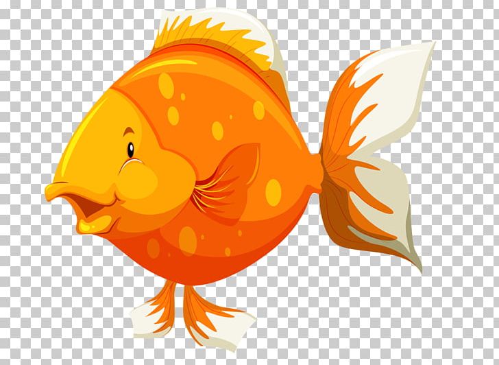 Goldfish Fish Anatomy PNG, Clipart, Animals, Art, Beak, Bird, Cartoon Free PNG Download