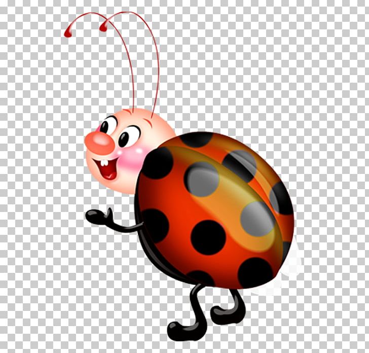 Orange Insects Ladybug And Noir Cat PNG, Clipart, Animation, Beetle, Blog, Cute Ladybug, Drawing Free PNG Download