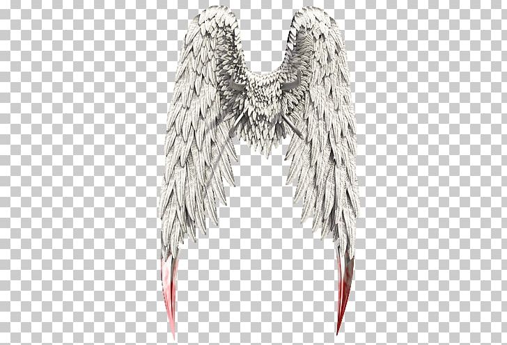 Neck PNG, Clipart, Angel Wings, Feather, Miscellaneous, Neck, Others Free PNG Download