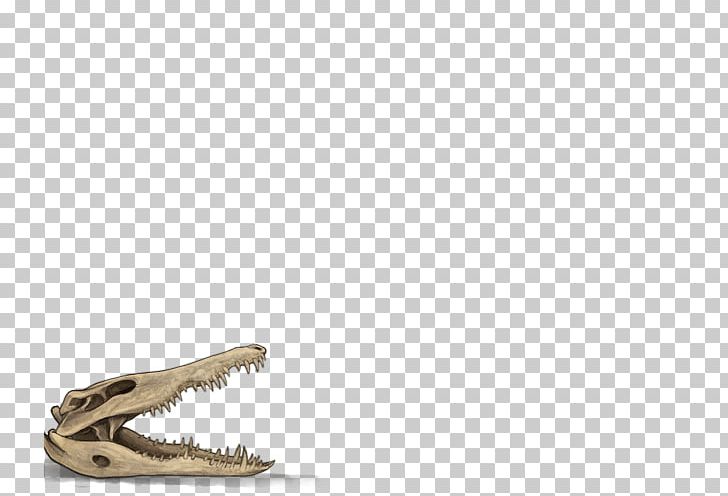 Skull Vitiligo Crocodile Bone Skin PNG, Clipart, Beige, Blacklight, Bone, Coat, Crocodile Free PNG Download