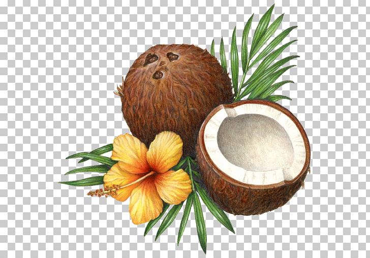 Coconut Water Coconut Milk Coconut Oil Health PNG, Clipart, Ananas, Balsamic Vinegar, Coconut, Coconut Milk, Coconut Oil Free PNG Download