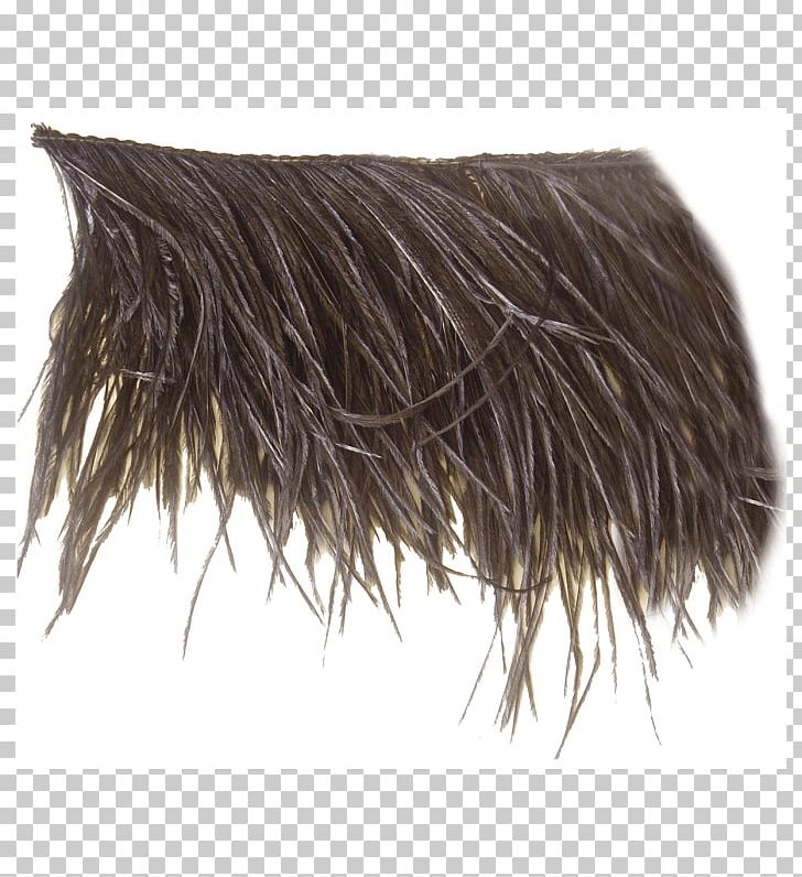 Ivory Fringe Common Ostrich Leather Mercery PNG, Clipart, Color, Colored Ostrich Feathers, Common Ostrich, Dyeing, Feather Free PNG Download