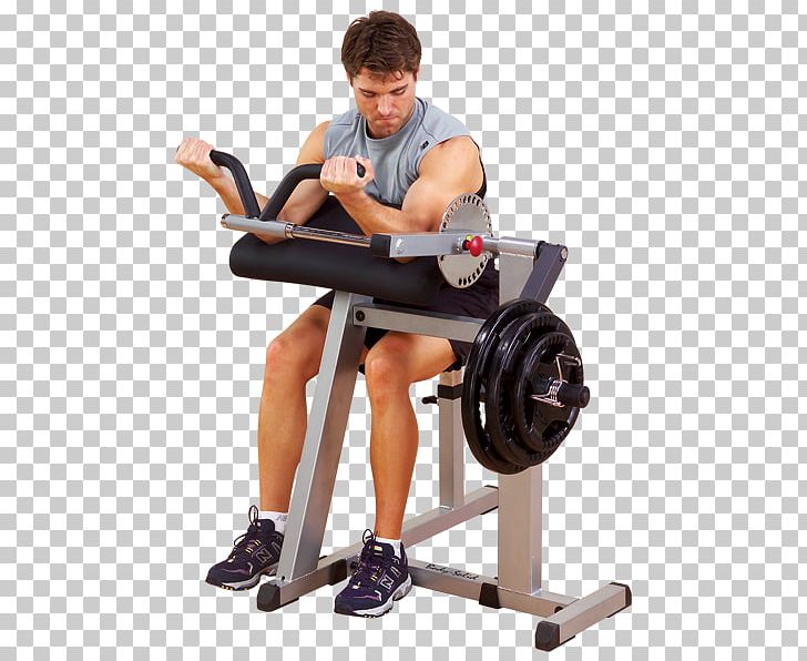 Triceps Brachii Muscle Biceps Arm Human Body Lying Triceps Extensions PNG, Clipart, Abdomen, Arm, Balance, Barbell, Bench Free PNG Download