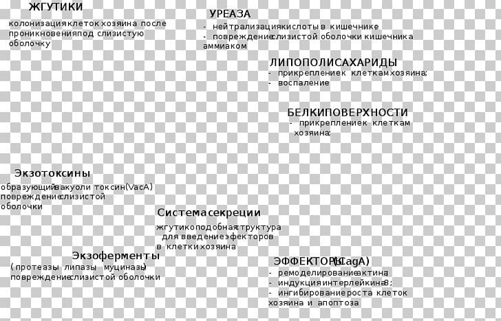 Document Line Brand PNG, Clipart, Area, Art, Brand, Document, Line Free PNG Download