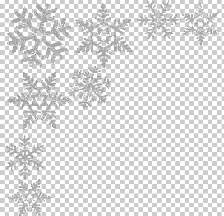 Snowflake Black And White PNG, Clipart, Area, Black And White, Border, Branch, Color Free PNG Download