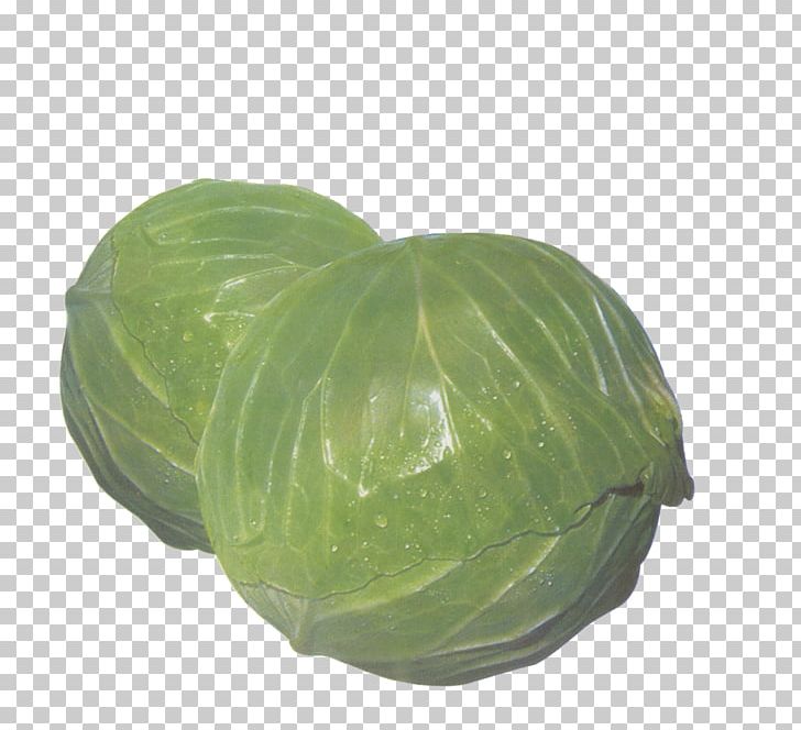 Cabbage Vegetable PNG, Clipart, Auglis, Cabbage, Cabbage Cartoon, Cabbage Leaves, Cartoon Cabbage Free PNG Download