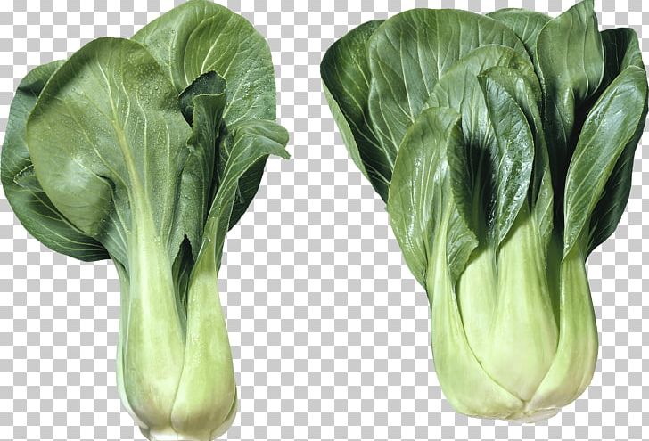 Chinese Cabbage Vegetable Vietnamese Cuisine PNG, Clipart, Bok Choy, Brassica, Brassica Juncea, Brassica Oleracea, Broccoli Free PNG Download
