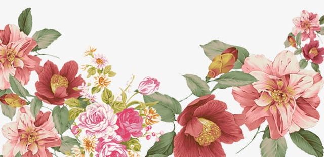 Flowers PNG, Clipart, Flowers, Flowers Clipart, Watercolor Free PNG Download