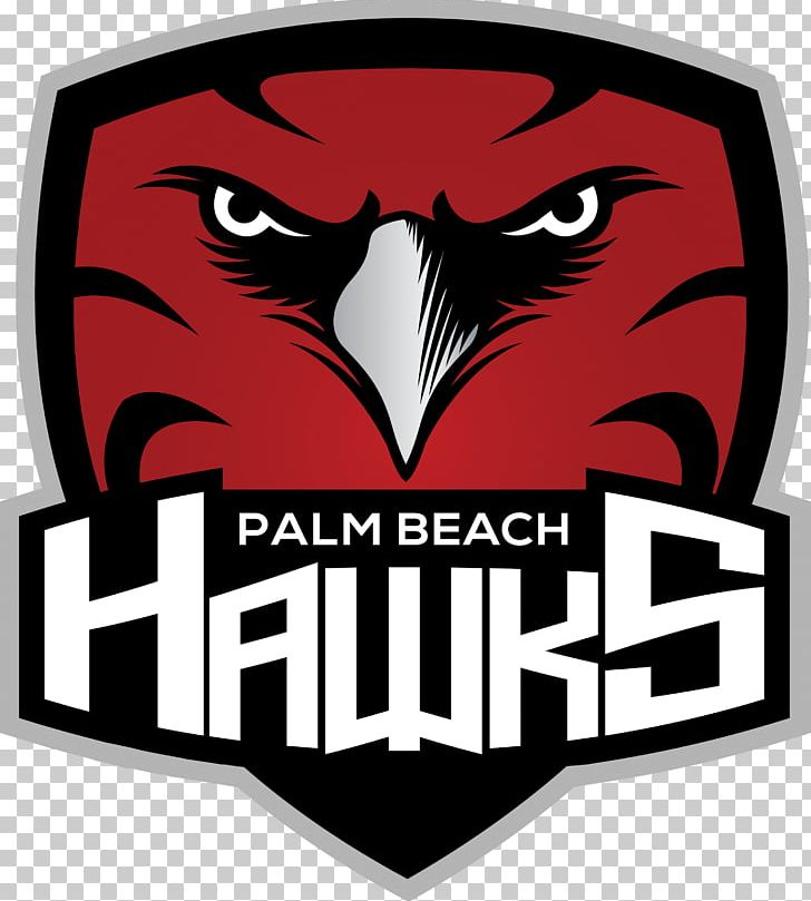 Palm Beach Hawks Atlanta Hawks Logo Ice Hockey PNG, Clipart, Atlanta Hawks, Bird, Bird Of Prey, Brand, Emblem Free PNG Download