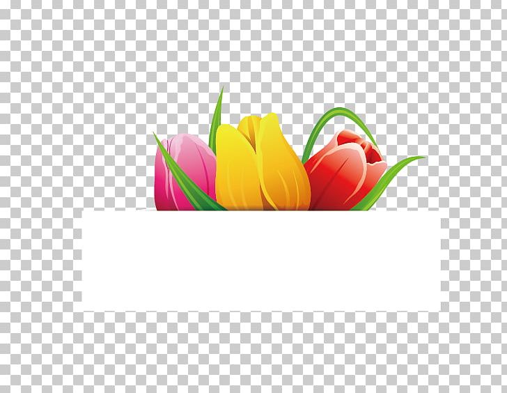 Tulip PNG, Clipart, Christmas Tag, Computer Wallpaper, Designer, Download, Euclidean Vector Free PNG Download