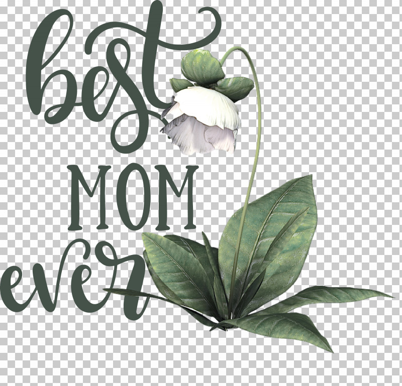 Mothers Day Best Mom Ever Mothers Day Quote PNG, Clipart, Best Mom Ever, Commodity, Conflagration, Draft Document, Flora Free PNG Download